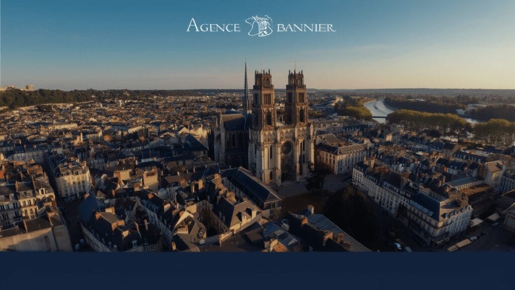 immobilier orléans
